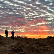 runners at dawn