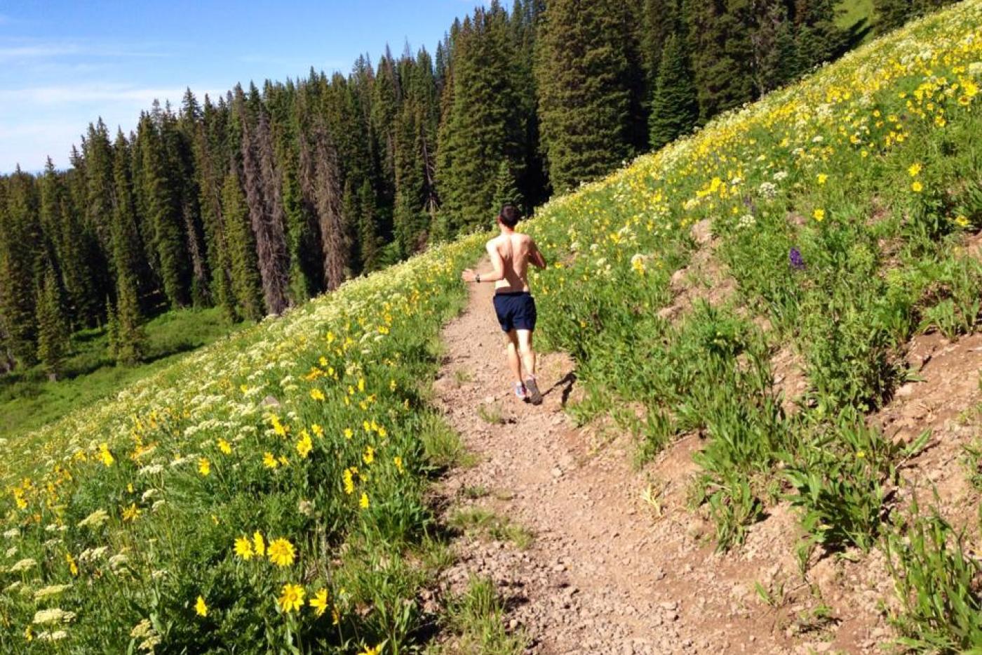 View along the lower section of the trail
